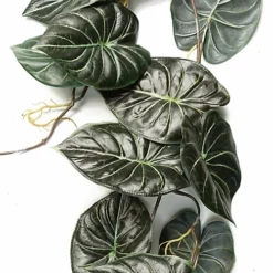 Leaf 120cm Artificial Trailing Hanging Plant Realistic Alocasia Dragon Scale Dark -HOMCO Garden Shop 120cm artificial trailing hanging plant realistic alocasia dragon scale dark5060950405077 03c MP
