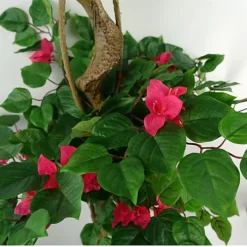 Leaf 150cm Japanese Artificial Silk Bougainvillea Tree -HOMCO Garden Shop 150cm japanese artificial silk bougainvillea tree5060950404575 03c MP