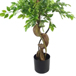 Leaf 150cm Twisted Trunk Artificial Japanese Fruticosa Style Ficus Tree -HOMCO Garden Shop 150cm twisted trunk artificial japanese fruticosa style ficus tree5060532978340 03c MP