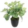 Leaf 40cm Artificial Caladium Plant With Pot -HOMCO Garden Shop 40cm artificial caladium plant with pot5060532972881 01c MP