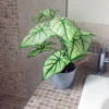 Leaf 40cm Artificial Taro House Plant In Decorative Planter -HOMCO Garden Shop 40cm artificial taro house plant in decorative planter5060950403332 01c MP