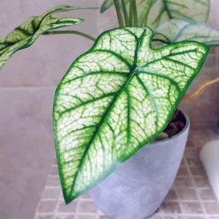 Leaf 40cm Artificial Taro House Plant In Decorative Planter -HOMCO Garden Shop 40cm artificial taro house plant in decorative planter5060950403332 03c MP