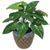 Leaf 45cm Artificial Taro Plant - 45cm Dark Taro -HOMCO Garden Shop 45cm artificial taro plant 45cm dark taro5060532970344 01c MP