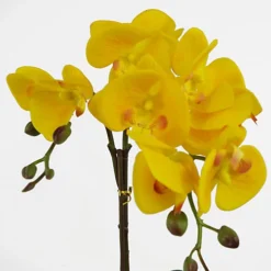 Leaf 48cm Golden Orchid Artificial - Yellow With Gold Pot -HOMCO Garden Shop 48cm golden orchid artificial yellow with gold pot5060950400935 02c MP
