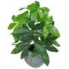 Leaf 50cm Artificial Money Tree Plant -HOMCO Garden Shop 50cm artificial money tree plant5060532977954 01c MP