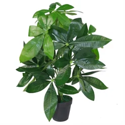 Leaf 50cm Artificial Money Tree Plant -HOMCO Garden Shop 50cm artificial money tree plant5060532977954 04c MP