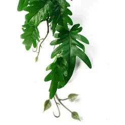 50cm Artificial Trailing Philodendron Large Leaf Plant -HOMCO Garden Shop 50cm artificial trailing philodendron large leaf plant5060950402823 03c MP
