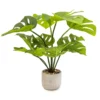50cm Cheese Plant Artificial Plant In Grey Ceramic Pot -HOMCO Garden Shop 50cm cheese plant artificial plant in grey ceramic pot5010795630837 01c bq