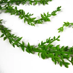 Leaf 6 X 58cm Artificial Hanging Climbing Fig Plant Ficus Pumila -HOMCO Garden Shop 6 x 58cm artificial hanging climbing fig plant ficus pumila5060950402076 04c MP