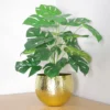Leaf 60cm Artificial Monstera Plant With Golden Metal Planter Included 1 Leaf 60cm Artificial Monstera Plant With Golden Metal Planter Included -HOMCO Garden Shop 60cm artificial monstera plant with golden metal planter included5060532972737 01c MP