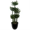 Leaf 60cm Artificial Tropical Yukka In Planter -HOMCO Garden Shop 60cm artificial tropical yukka in planter5060950401673 01c MP