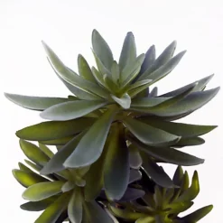 Leaf 60cm Artificial Tropical Yukka In Planter -HOMCO Garden Shop 60cm artificial tropical yukka in planter5060950401673 02c MP