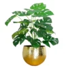 60cm Leaf Realistic Artificial Monstera Cheese Plant -HOMCO Garden Shop 60cm leaf realistic artificial monstera cheese plant5060532976964 01c MP