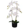 Leaf 65cm Artificial Luxury Artificial Orchid - 3 Stems - Soft White Plant -HOMCO Garden Shop 65cm artificial luxury artificial orchid 3 stems soft white plant5060532970405 01c MP