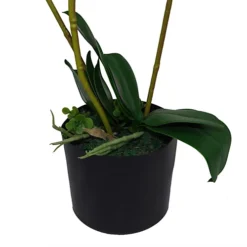 Leaf 65cm Artificial Luxury Artificial Orchid - 3 Stems - Soft White Plant -HOMCO Garden Shop 65cm artificial luxury artificial orchid 3 stems soft white plant5060532970405 02c MP