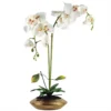 Leaf 70cm Artificial Orchid White With Gold Dish Ceramic Planter 1 Leaf 70cm Artificial Orchid White With Gold Dish Ceramic Planter -HOMCO Garden Shop 70cm artificial orchid white with gold dish ceramic planter5060532973581 01c MP