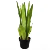 Leaf 70cm Artificial Sansevieria Moonshine Plant -HOMCO Garden Shop 70cm artificial sansevieria moonshine plant5060532975370 01c MP