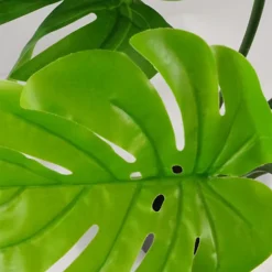 70cm Leaf Realistic Artificial Monstera Cheese Plant -HOMCO Garden Shop 70cm leaf realistic artificial monstera cheese plant5060532977008 03c MP