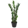 Leaf 75cm Artificial Zanzibar Green Gem Zamioculcas Succulent Indoor Plant 2 Leaf 75cm Artificial Zanzibar Green Gem Zamioculcas Succulent Indoor Plant -HOMCO Garden Shop 75cm artificial zanzibar green gem zamioculcas succulent indoor plant5060532977909 01c MP