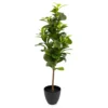 80cm Peperomia Artificial Plant In Black Ribbed Pot -HOMCO Garden Shop 80cm peperomia artificial plant in black ribbed pot5010795687022 01c