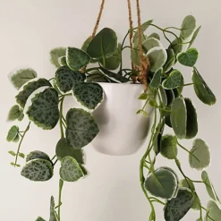 Leaf 90cm Artificial Potted Hanging Trailing Green Plant - String Of Hearts -HOMCO Garden Shop 90cm artificial potted hanging trailing green plant string of hearts5060950402731 03c MP