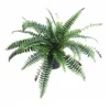 Leaf Artificial Boston Fern Plant - 60cm Boston Fern -HOMCO Garden Shop artificial boston fern plant 60cm boston fern5060532971044 01c MP