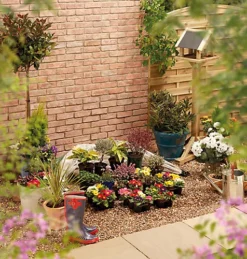 CAVE INNOVATIONS Horti Hood MINI 180 Folding Grow Dome - Cloche/Cold Frame/Mini Greenhouse -HOMCO Garden Shop cave innovations horti hood mini 180 folding grow dome cloche cold frame mini greenhouse5060655954467 02c MP