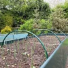 GardenSkill Extendable Metal Garden Tunnel Hoops For Grow Houses Polytunnels 0.85x0.35m H, Pk 3 1 GardenSkill Extendable Metal Garden Tunnel Hoops For Grow Houses Polytunnels 0.85x0.35m H, Pk 3 -HOMCO Garden Shop gardenskill extendable metal garden tunnel hoops for grow houses polytunnels 0 85x0 35m h pk 35060926020594 01c MP