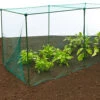 GardenSkill Grow House Fruit Vegetable Frame With Plant Protection Bird Mesh 2.5x1.25x1.25m H -HOMCO Garden Shop gardenskill grow house fruit vegetable frame with plant protection bird mesh 2 5x1 25x1 25m h5060266502743 01c MP