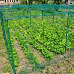 GardenSkill Grow House Fruit Vegetable Frame With Plant Protection Bird Netting 1 X 1.25m H -HOMCO Garden Shop gardenskill grow house fruit vegetable frame with plant protection bird netting 1 x 1 25m h5060266502989 03c MP