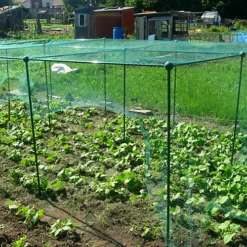 GardenSkill Grow House Fruit Vegetable Frame With Plant Protection Bird Netting 1 X 1.25m H -HOMCO Garden Shop gardenskill grow house fruit vegetable frame with plant protection bird netting 1 x 1 25m h5060266502989 04c MP
