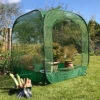 GardenSkill Pop Up Cabbage & Brassica Crop Cage Bird Mesh Pest Protection Cover 1m X 1.35m H 1 GardenSkill Pop Up Cabbage & Brassica Crop Cage Bird Mesh Pest Protection Cover 1m X 1.35m H -HOMCO Garden Shop gardenskill pop up cabbage brassica crop cage bird mesh pest protection cover 1m x 1 35m h5060266502439 01c MP