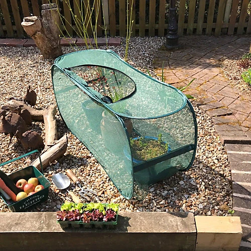 GardenSkill Pop Up Garden Grow Bag Protection Cover & Bird Mesh Vegetable Cloche 4 GardenSkill Pop Up Garden Grow Bag Protection Cover & Bird Mesh Vegetable Cloche - Image 2