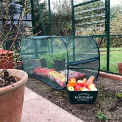 GardenSkill Pop Up Garden Grow Bag Protection Cover & Bird Mesh Vegetable Cloche 9 GardenSkill Pop Up Garden Grow Bag Protection Cover & Bird Mesh Vegetable Cloche -HOMCO Garden Shop gardenskill pop up garden grow bag protection cover bird mesh vegetable cloche5060266502408 04c MP