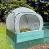GardenSkill Pop-Up Mini Greenhouse Grow House Poly Plant Cover 1m X 0.75m H -HOMCO Garden Shop gardenskill pop up mini greenhouse grow house poly plant cover 1m x 0 75m h5060266502095 01c MP