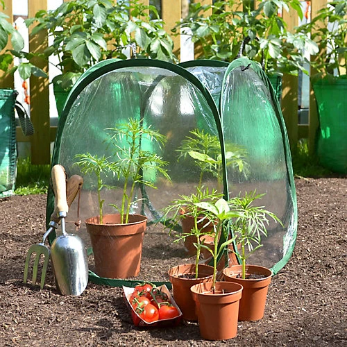 GardenSkill Pop-Up Mini Greenhouse Plant Flower Cover Bell Cloche 0.5m H 3 GardenSkill Pop-Up Mini Greenhouse Plant Flower Cover Bell Cloche 0.5m H