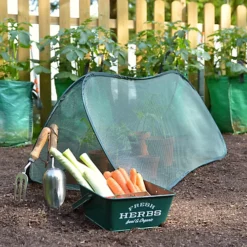 GardenSkill Pop Up Mini Grow Tunnel Cloche Vegetable Plant Fruit Cover Tent 125x50cm H -HOMCO Garden Shop gardenskill pop up mini grow tunnel cloche vegetable plant fruit cover tent 125x50cm h5060266502309 02c MP