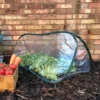 GardenSkill Pop Up Mini Polytunnel Greenhouse Grow House Plant Fruit Cloche 100x40cm H 2 GardenSkill Pop Up Mini Polytunnel Greenhouse Grow House Plant Fruit Cloche 100x40cm H -HOMCO Garden Shop gardenskill pop up mini polytunnel greenhouse grow house plant fruit cloche 100x40cm h5060266502316 01c MP