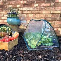 GardenSkill Pop Up Mini Polytunnel Greenhouse Grow House Plant Fruit Cloche 125x50cm H -HOMCO Garden Shop gardenskill pop up mini polytunnel greenhouse grow house plant fruit cloche 125x50cm h5060266502286 02c MP