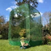 GardenSkill Pop Up Raspberry Fruit Cage Anti Bird Netting Plant Protection Cover 1.25m X 1.85m H -HOMCO Garden Shop gardenskill pop up raspberry fruit cage anti bird netting plant protection cover 1 25m x 1 85m h5060266502187 01c MP