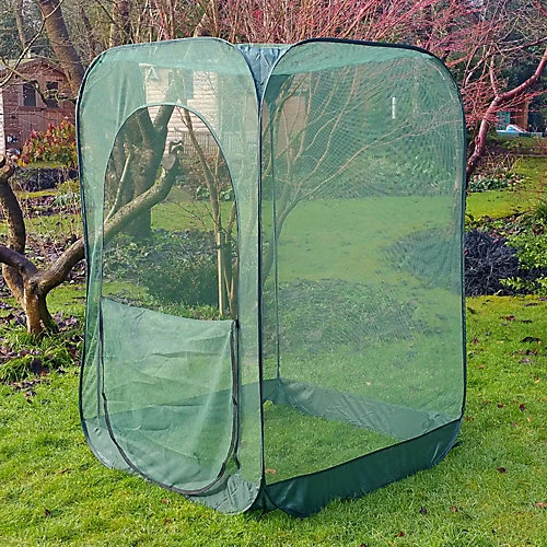 GardenSkill Pop Up Raspberry Fruit Cage Bird Mesh Pest Protection Cover 1m X 1.85m H 6 GardenSkill Pop Up Raspberry Fruit Cage Bird Mesh Pest Protection Cover 1m X 1.85m H - Image 4