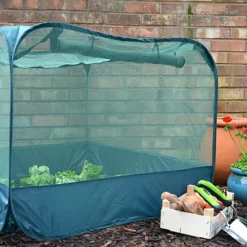 GardenSkill Pop Up Strawberry & Salad Fruit Cage Bird Mesh Pest Protection Cover 1.25m X 0.75m H -HOMCO Garden Shop gardenskill pop up strawberry salad fruit cage bird mesh pest protection cover 1 25m x 0 75m h5060266502460 04c MP