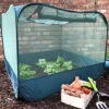 GardenSkill Pop Up Strawberry & Salad Fruit Cage Bird Netting Pest Protection Cover 1.25m X 0.75m H -HOMCO Garden Shop gardenskill pop up strawberry salad fruit cage bird netting pest protection cover 1 25m x 0 75m h5060266502231 01c MP