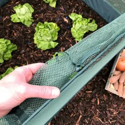 GardenSkill Pop Up Strawberry & Salad Fruit Cage Bird Netting Pest Protection Cover 1.25m X 0.75m H -HOMCO Garden Shop gardenskill pop up strawberry salad fruit cage bird netting pest protection cover 1 25m x 0 75m h5060266502231 04c MP