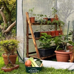 GardenSkill Pop-Up Walk In Greenhouse Tomato Grow House Poly Plant Cover 1.25m X 1.85m H 7 GardenSkill Pop-Up Walk In Greenhouse Tomato Grow House Poly Plant Cover 1.25m X 1.85m H -HOMCO Garden Shop gardenskill pop up walk in greenhouse tomato grow house poly plant cover 1 25m x 1 85m h5060266502040 02c MP