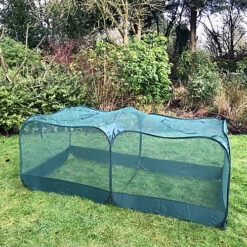 GardenSkill Pop Up XL Garden Fruit Vegetable Cage & Plant Protection Crop Cover 2x1x0.75m H -HOMCO Garden Shop gardenskill pop up xl garden fruit vegetable cage plant protection crop cover 2x1x0 75m h5060266504044 02c MP