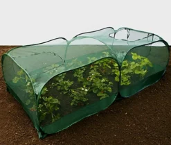 GardenSkill Pop Up XL Garden Fruit Vegetable Cage & Plant Protection Crop Cover 2x1x0.75m H -HOMCO Garden Shop gardenskill pop up xl garden fruit vegetable cage plant protection crop cover 2x1x0 75m h5060266504044 04c MP