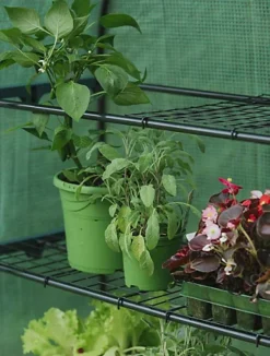 Gardman Grow It 4 Tier Extra Wide Grow Arc Greenhouse Growhouse Reinforced Cover 8 Gardman Grow It 4 Tier Extra Wide Grow Arc Greenhouse Growhouse Reinforced Cover -HOMCO Garden Shop gardman grow it 4 tier extra wide grow arc greenhouse growhouse reinforced cover5056344300615 03c MP