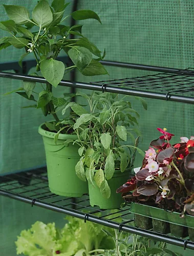 Gardman Grow It 4 Tier Extra Wide Grow Arc Greenhouse Growhouse Reinforced Cover 5 Gardman Grow It 4 Tier Extra Wide Grow Arc Greenhouse Growhouse Reinforced Cover - Image 3