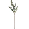 Hill Interiors Artificial Variegated Eucalyptus Sage (One Size) -HOMCO Garden Shop hill interiors artificial variegated eucalyptus sage one size 5059000107825 01c MP